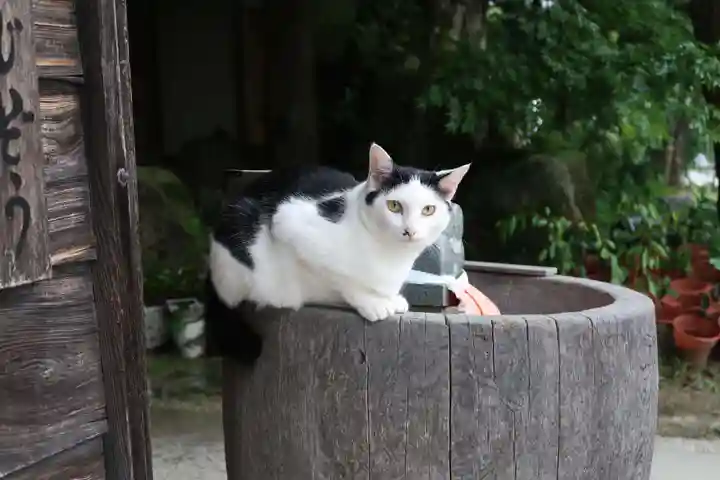 観音正寺(滋賀県)