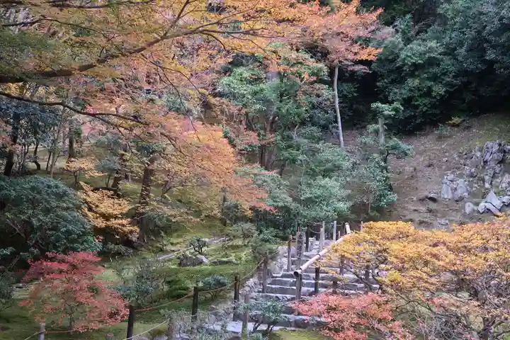 慈照寺(慈照禅寺・銀閣寺)の自然