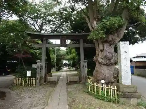 畑子安神社の鳥居