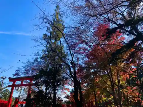 高尾山薬王院の鳥居