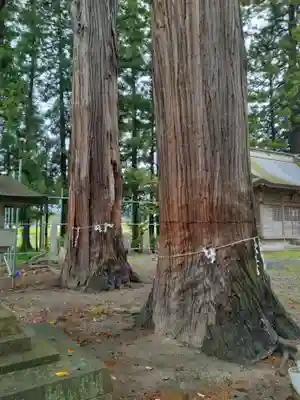 住吉神社(宮城県)