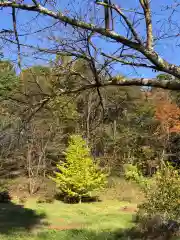 多賀神社の景色