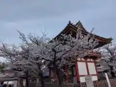 瀧泉寺（目黒不動尊）(東京都)