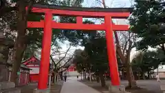 花園神社の鳥居