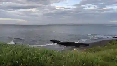 諏訪神社の周辺