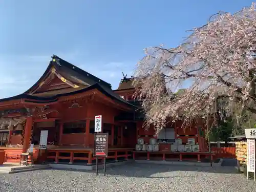 富士山本宮浅間大社の本殿・本堂