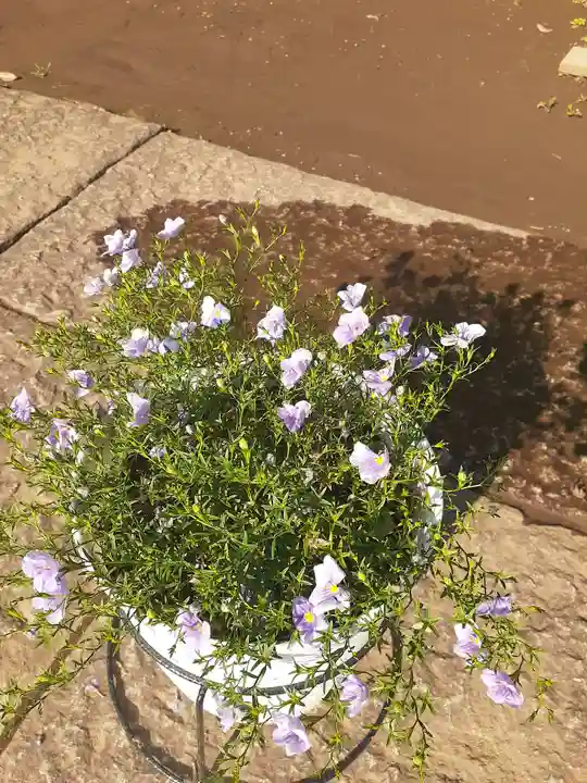 伏木香取神社の自然