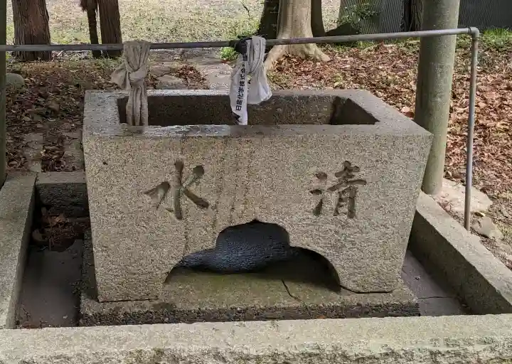 白山神社の{uncategorized: "未分類", other: "その他", undefined: "問題あり", building: "その他建物", grave: "お墓", sacred_gate: "鳥居", guardian: "狛犬", statue: "像", buddha: "仏像", history: "歴史", nature: "自然", garden: "庭園", animal: "動物", pagoda: "塔", temizu: "手水舎", mountain_gate: "山門・神門", sanctuary: "本殿・本堂", subordinate: "末社・摂社", art: "芸術", scenery: "景色", jizo: "地蔵", ema: "絵馬", goshuin: "御朱印", omikuji: "おみくじ", items: "授与品その他", amulet: "お守り", goshuincho: "御朱印帳", eats: "食事", festival: "お祭り", votive_dance: "神楽", shichigosan: "七五三参", wedding: "結婚式", experience: "体験その他", initially: "初詣", around: "周辺", anti_infection: "感染症対策"}