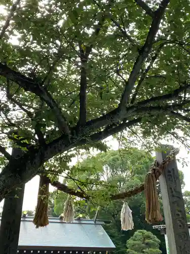 伊勢山皇大神宮の山門・神門