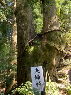 玉置神社(奈良県)