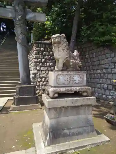 品川神社の狛犬