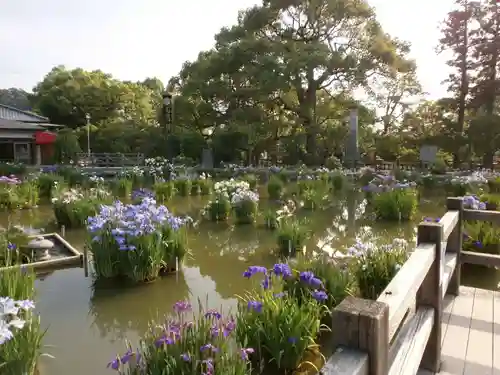 太宰府天満宮の庭園