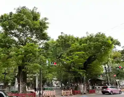 大國魂神社(東京都)