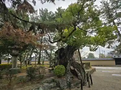 法隆寺(奈良県)