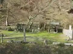 金剛院(京都府)