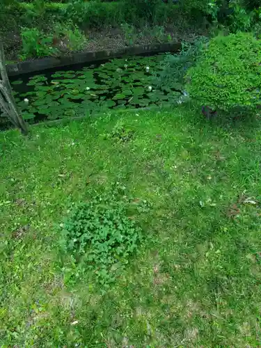 丸山弁財天神社の庭園