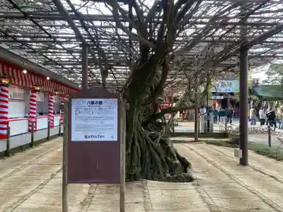 笠間稲荷神社(茨城県)