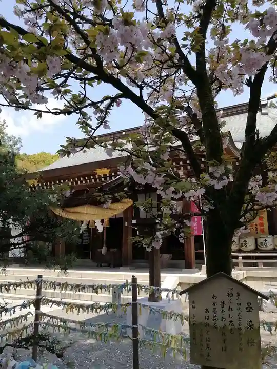 菊池神社のその他建物
