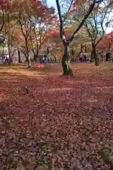 東福禅寺（東福寺）(京都府)