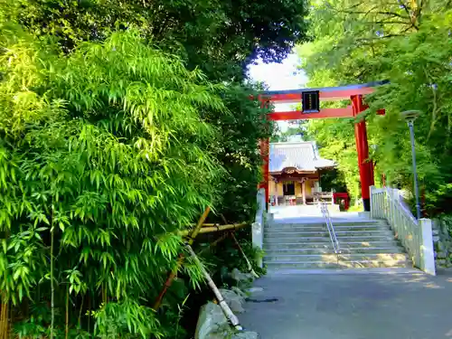 白笹稲荷神社の鳥居