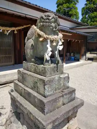 槌宮神社の狛犬