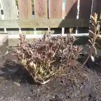 七重浜海津見神社の自然