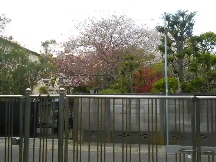 極楽寺(霊鷲山感應院極楽律寺)の周辺