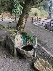 蛭児神社の手水