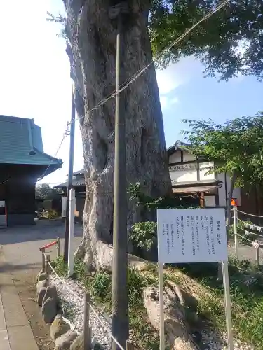 米島香取神社(埼玉県)
