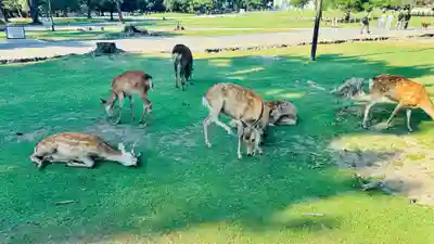 東大寺(奈良県)