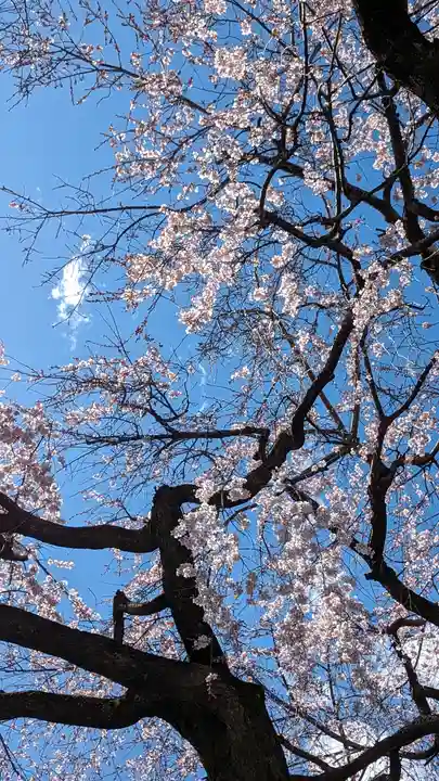 本満寺(本願満足寺)(京都府)