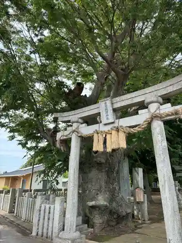 素鵞熊野神社(茨城県)