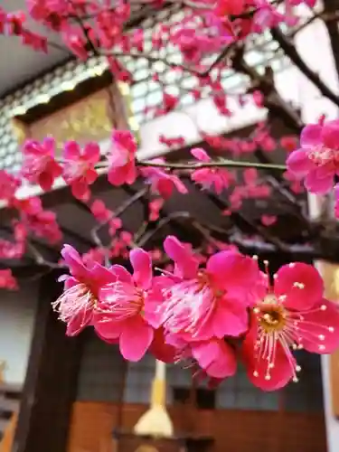 聖輪寺(東京都)