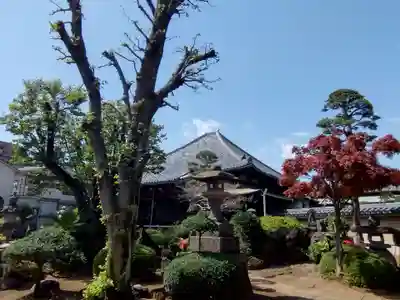 荘厳寺(東京都)