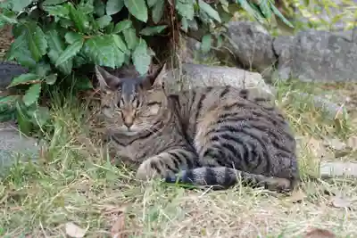 嚴島神社 (京都御苑)(京都府)
