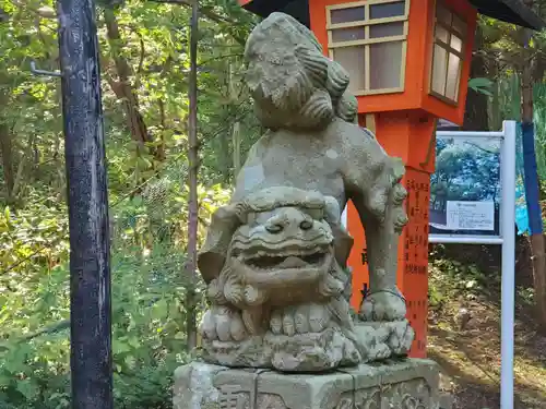 明治宮鹽谷神社の狛犬