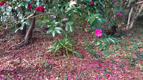 恵比寿神社(静岡県)