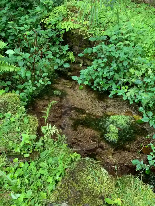 金花猫大明神の自然