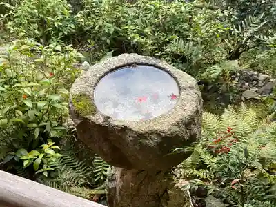 直指庵(京都府)