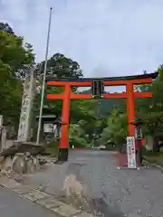 日吉大社の鳥居