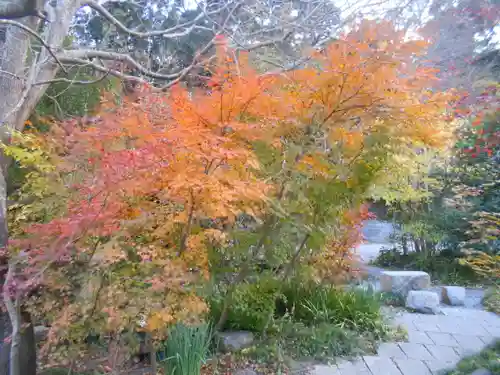 光則寺の庭園