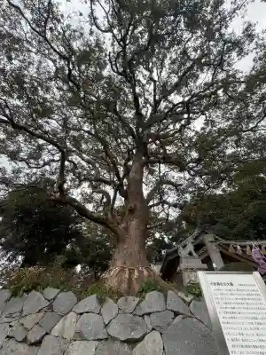 六所神社の{uncategorized: "未分類", other: "その他", undefined: "問題あり", building: "その他建物", grave: "お墓", sacred_gate: "鳥居", guardian: "狛犬", statue: "像", buddha: "仏像", history: "歴史", nature: "自然", garden: "庭園", animal: "動物", pagoda: "塔", temizu: "手水舎", mountain_gate: "山門・神門", sanctuary: "本殿・本堂", subordinate: "末社・摂社", art: "芸術", scenery: "景色", jizo: "地蔵", ema: "絵馬", goshuin: "御朱印", omikuji: "おみくじ", items: "授与品その他", amulet: "お守り", goshuincho: "御朱印帳", eats: "食事", festival: "お祭り", votive_dance: "神楽", shichigosan: "七五三参", wedding: "結婚式", experience: "体験その他", initially: "初詣", around: "周辺", anti_infection: "感染症対策"}