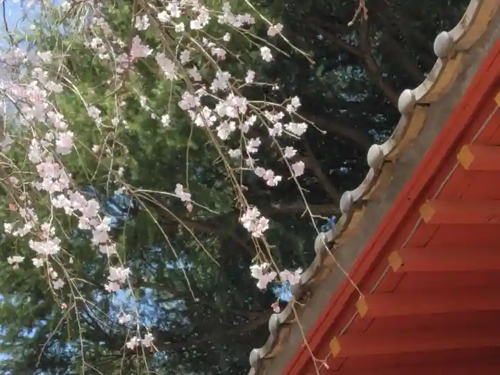 相頓寺(埼玉県)