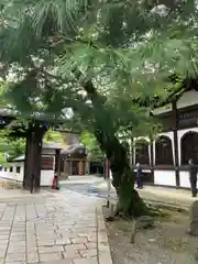 知恩院(京都府)