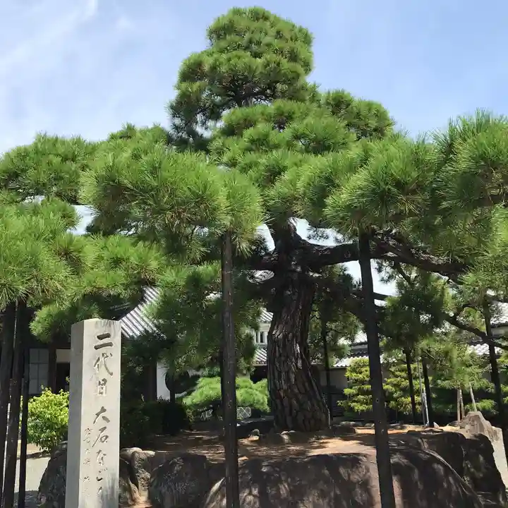 花岳寺の庭園