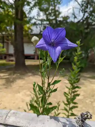  智積院(京都府)