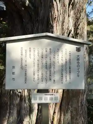 大徳寺(京都府)