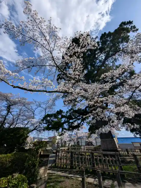 日高神社の{uncategorized: "未分類", other: "その他", undefined: "問題あり", building: "その他建物", grave: "お墓", sacred_gate: "鳥居", guardian: "狛犬", statue: "像", buddha: "仏像", history: "歴史", nature: "自然", garden: "庭園", animal: "動物", pagoda: "塔", temizu: "手水舎", mountain_gate: "山門・神門", sanctuary: "本殿・本堂", subordinate: "末社・摂社", art: "芸術", scenery: "景色", jizo: "地蔵", ema: "絵馬", goshuin: "御朱印", omikuji: "おみくじ", items: "授与品その他", amulet: "お守り", goshuincho: "御朱印帳", eats: "食事", festival: "お祭り", votive_dance: "神楽", shichigosan: "七五三参", wedding: "結婚式", experience: "体験その他", initially: "初詣", around: "周辺", anti_infection: "感染症対策"}