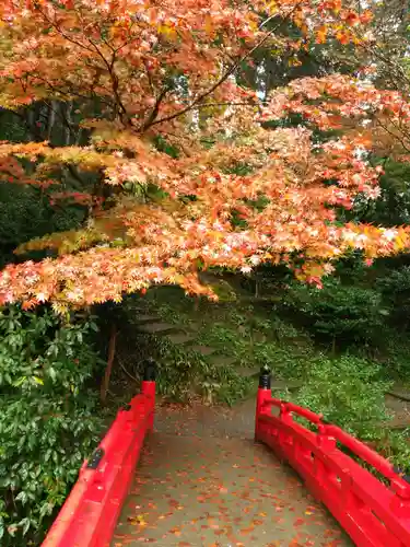 小國神社の自然