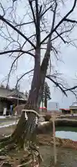 熊野神社(宮城県)